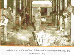 Feeding time in the stables of the 9th Cavalry Regiment finds the attendants busy